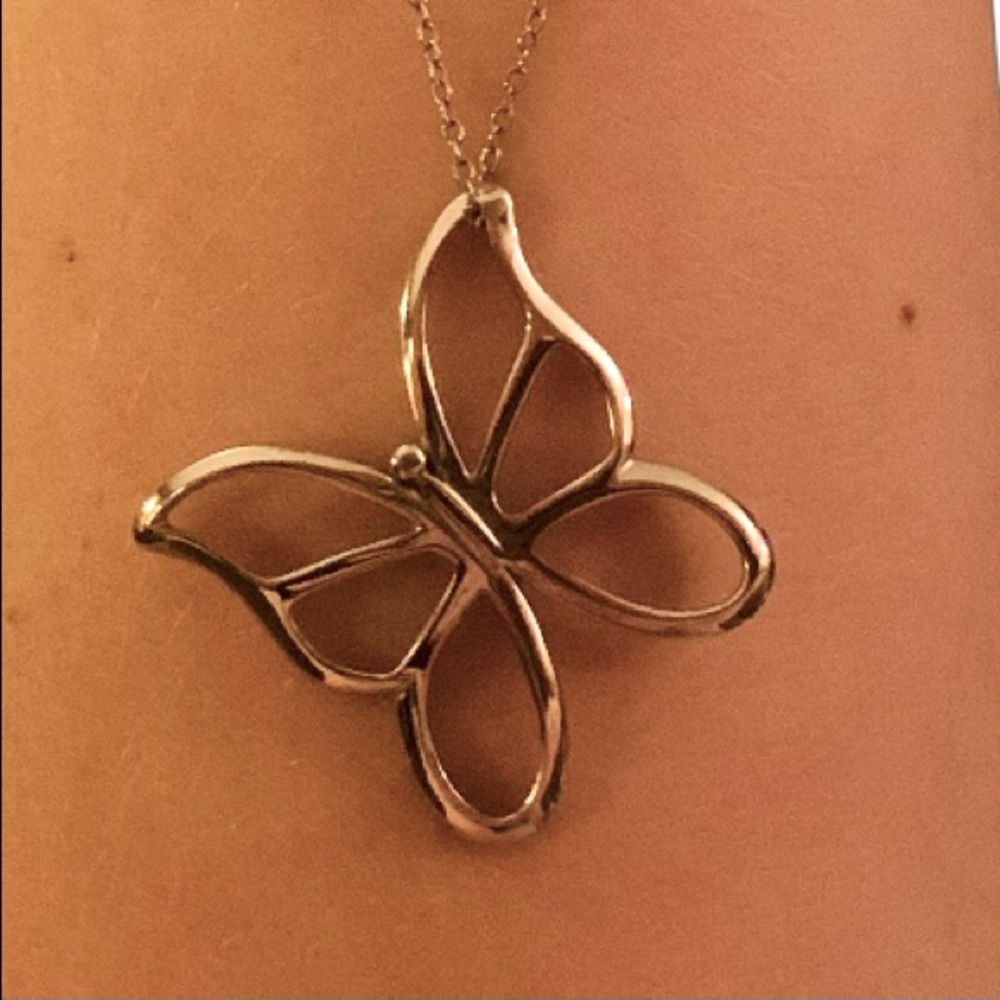 Silver butterfly chain and charm